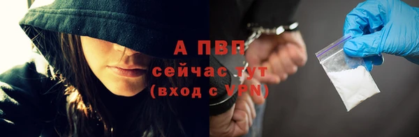 амф Белокуриха