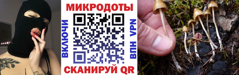 Псилоцибиновые грибы MAGIC MUSHROOMS  купить закладку  Соль-Илецк 